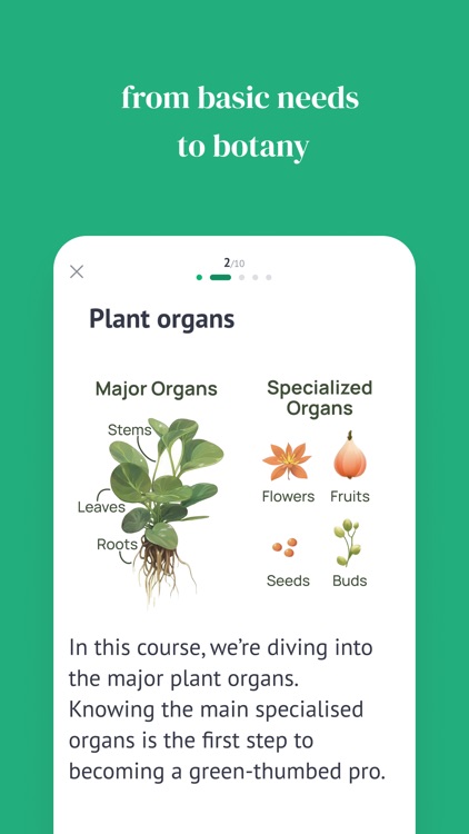 Planton Easy Plant Care screenshot-3