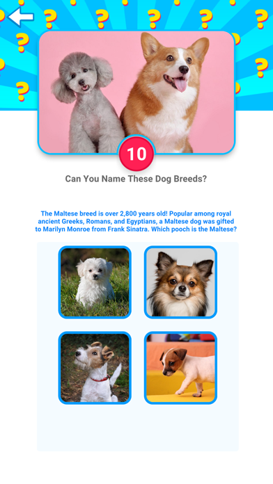 Screenshot 2 of Hype Fam App