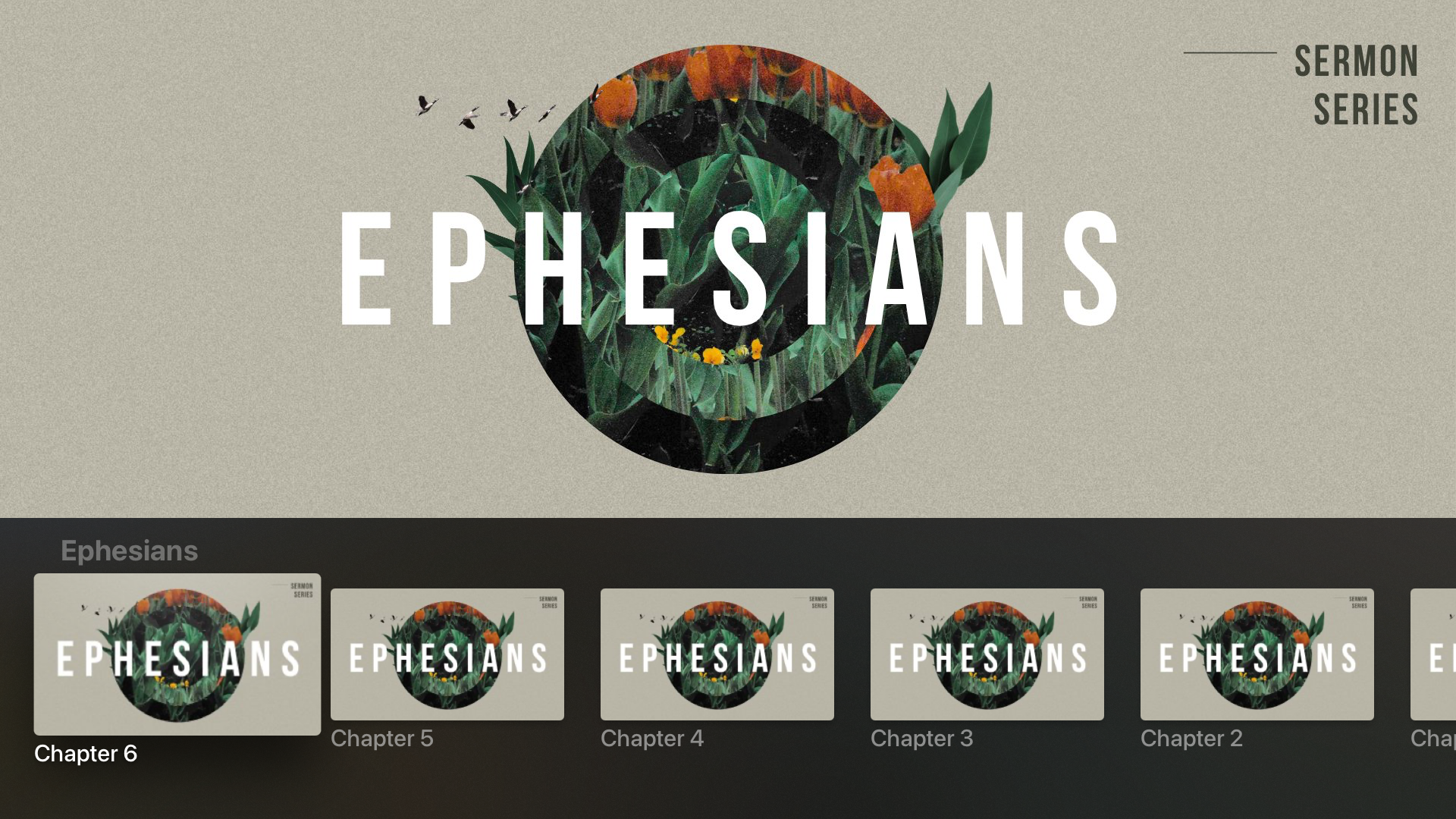 Elim Congregation screenshot 10