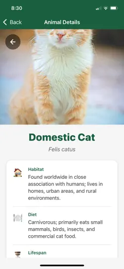 Animal Finder App iPhone Ekran Görüntüsü 4
