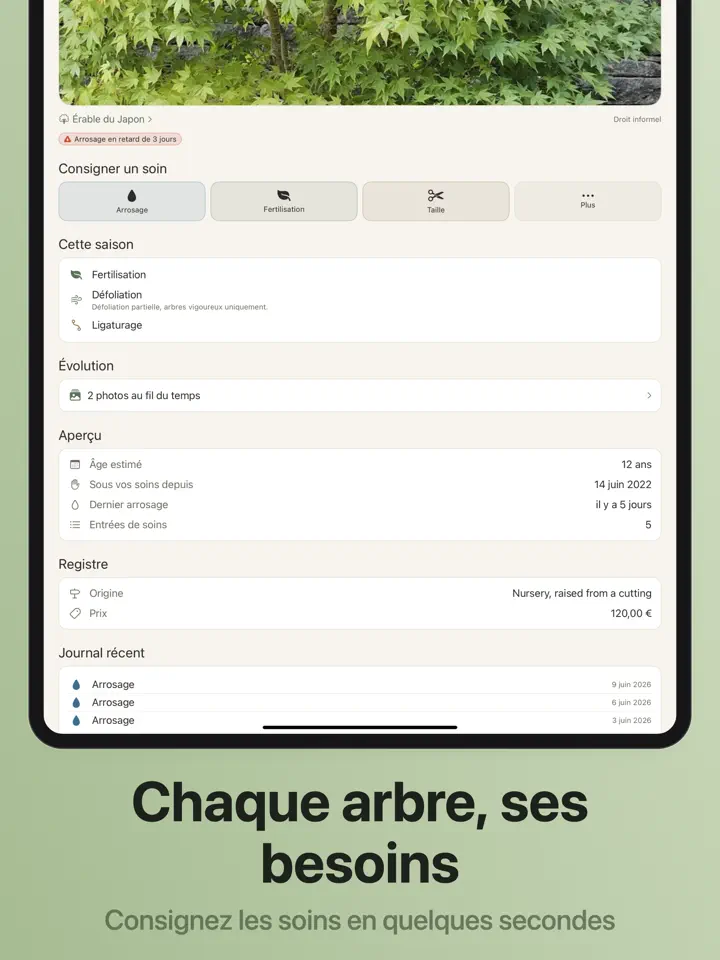 Bonsaiku sur iPad : capture d’écran 5 sur 7