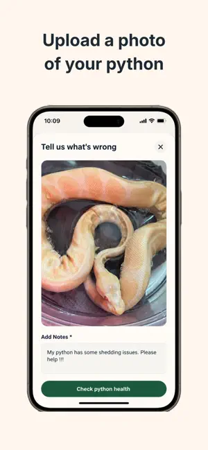 Python Expert screenshot 2
