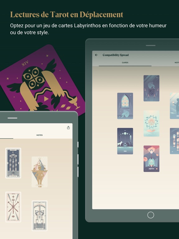 Screenshot #4 pour Labyrinthos Tarot Reading