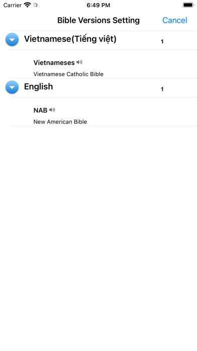 Screenshot #3 pour Công Giáo Việt Kinh Thánh