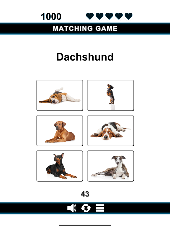 Good Dog iPad screenshot 3 - Education app