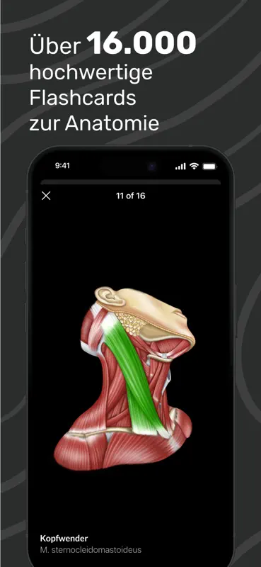 Easy Anatomy 3D mit Sprach-KI screenshot 4 of 9