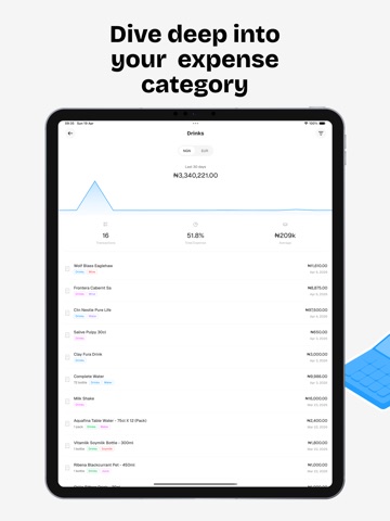 Expense AI - Budget Tracker iPad screenshot