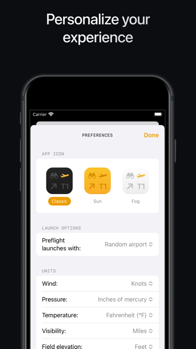 Airports. Screenshot