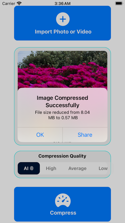 #2. scallion - AI Compressor (iOS) By: Jesse Benjamin