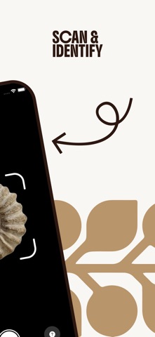 Fossil Identifier: AI Scanner Screenshot 2 of 5