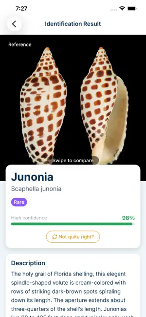 Sanibel Shell ID screenshot 1