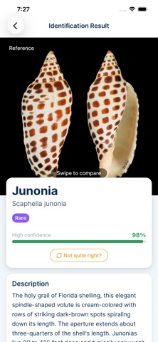 Sanibel Shell ID Screenshot 1 of 5