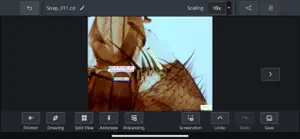 Labscope screenshot 3
