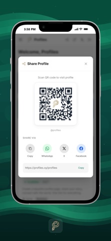 Profiles.sy screenshot