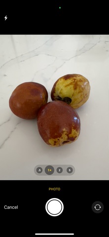 Glean Machine screenshot