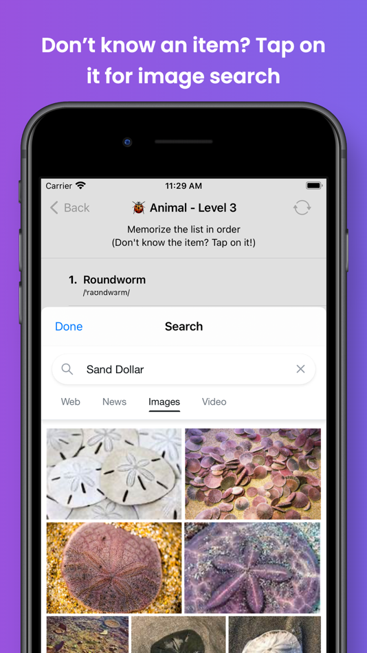 #3. Memorize List (iOS) By: Duy Nguyen
