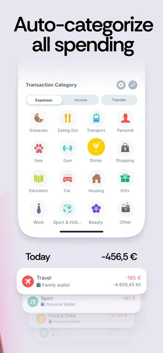Expense & Budget App: Screenshot 3 von 7