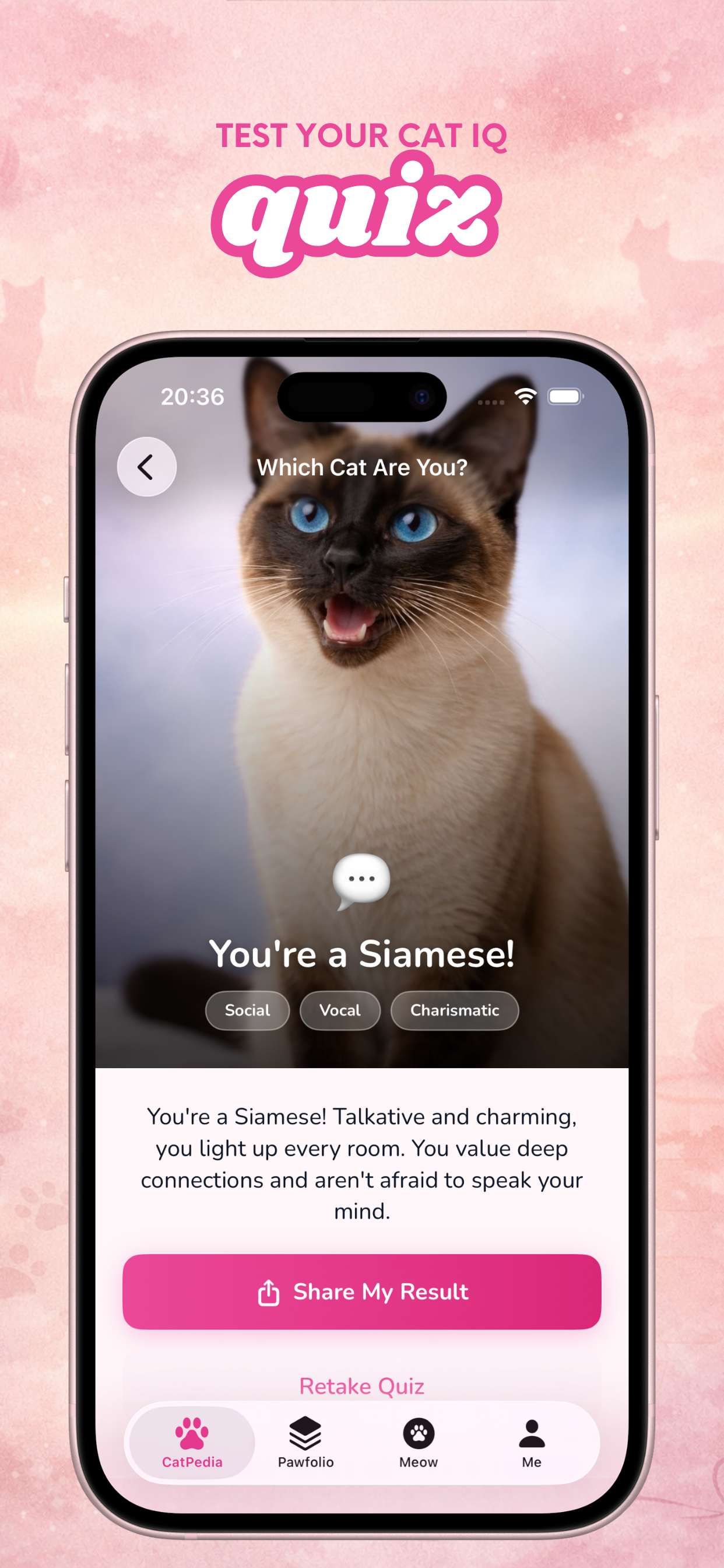 Cat: MeowPedia