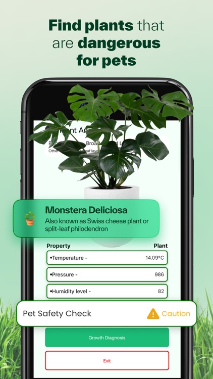 LetPlant: AI Houseplant Care