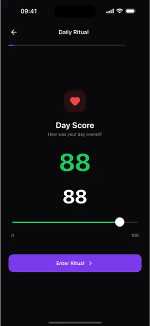 Invector screenshot 2