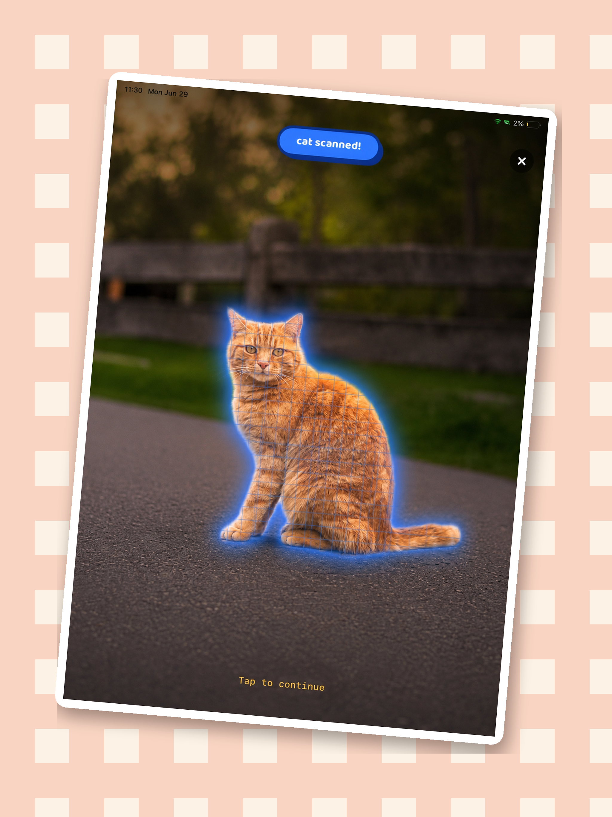 Cat Collector: Catch Real Cats