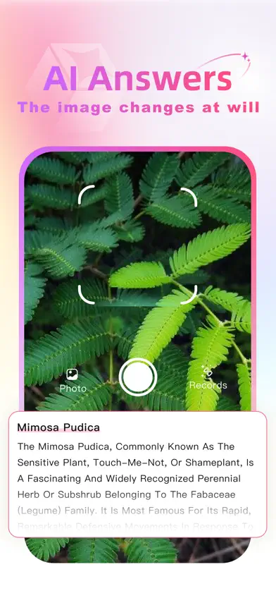 AI Photo Creator & Toolbox screenshot 4
