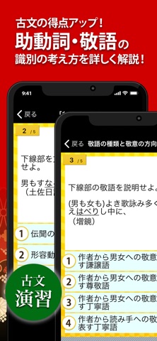 古文・漢文（古文単語、古典文法、漢文） screenshot