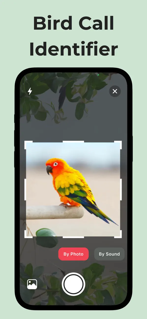 #1. Bird Call Identifier: Featha (iOS) di: Cristian Alan Canales Mota