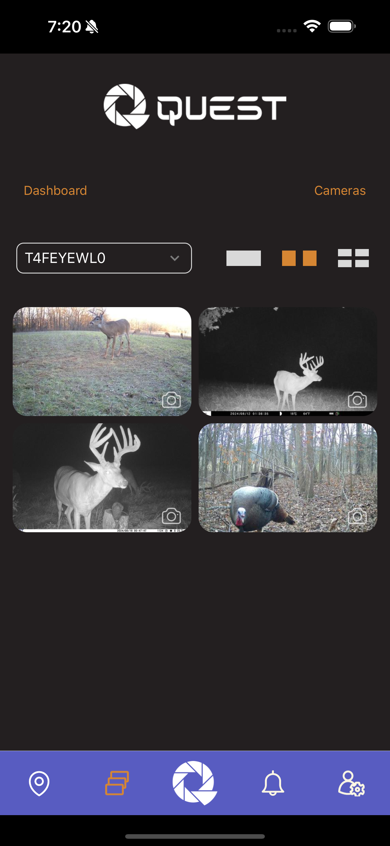 Quest Cameras