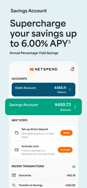 Netspend screenshot 4