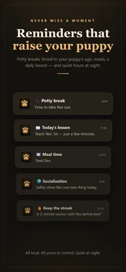 Captura de pantalla de Goldie — Puppy Training en iPhone 3