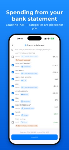 Pocket Financier: Budget screenshot 6
