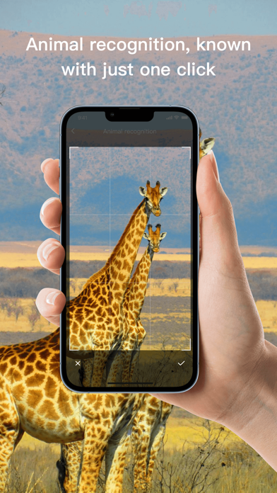 Fantastic Animals Screenshot