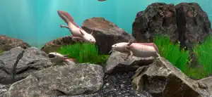 Fish Farm 4: 3D Aquarium screenshot 2