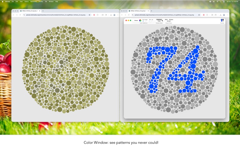 Screenshot #3 pour Color Blind Pal