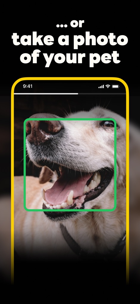 SuperAlarm - Loud Alarm Clock - Discover how users can disarm the alarm by utilizing the app's object recognition feature, seen with the live camera feed targeting a pet.