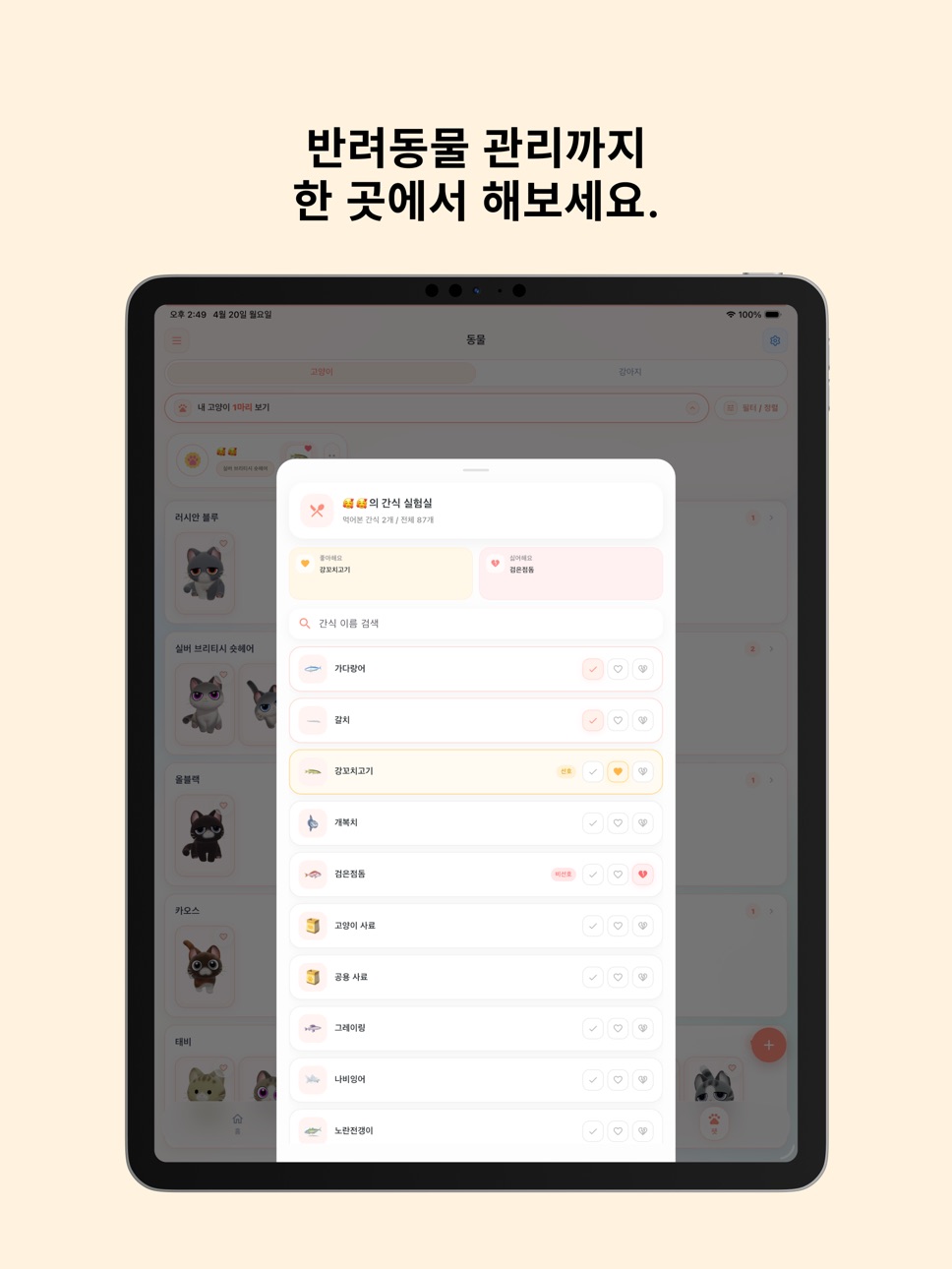 iPad screenshot