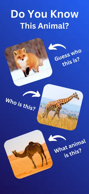 Animal Quiz: Guess the Picture screenshot 2