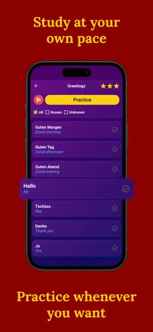 Learn German (Beginners) screenshot 3