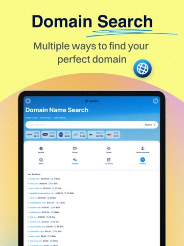 Domain Pursuit Screenshot 1