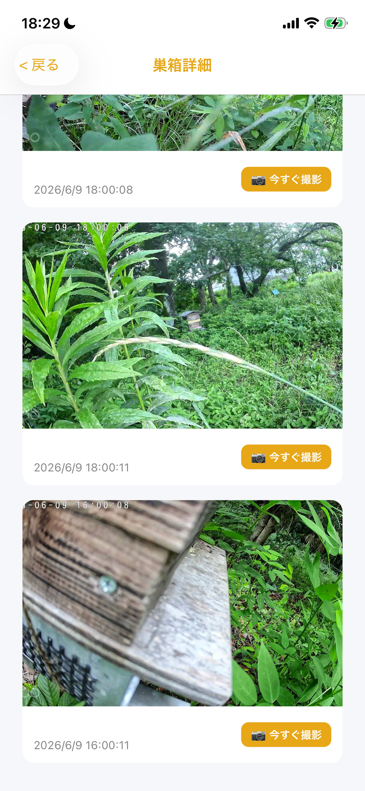 はちとも screenshot 3