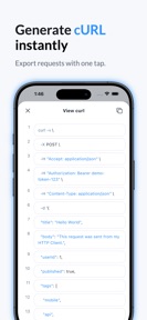 API & HTTP Client screenshot