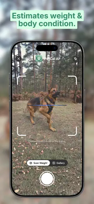 PetCal AI: Pet Care Tracker screenshot 2