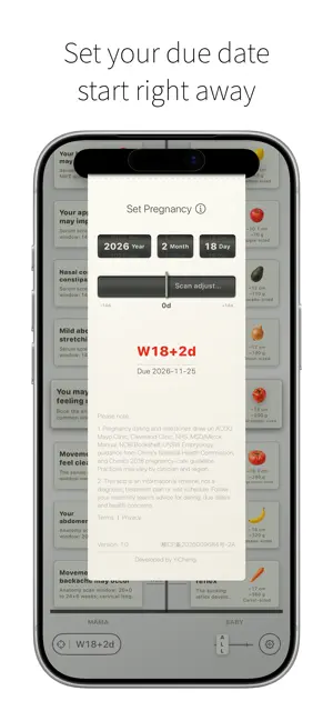 BumpWeek - Pregnancy Timeline screenshot 3