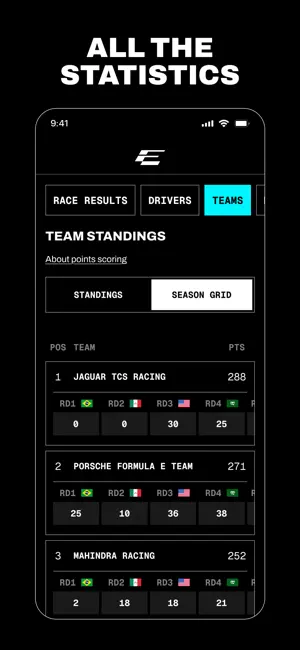 Formula E screenshot 4