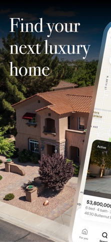 The Torie Ellens Team screenshot