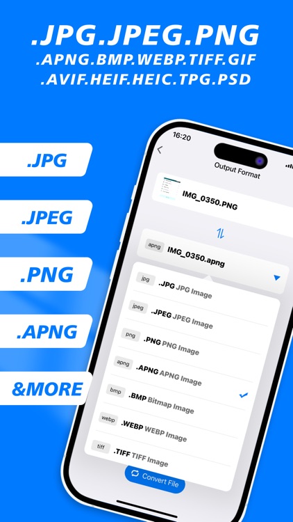 witfox Image Converter