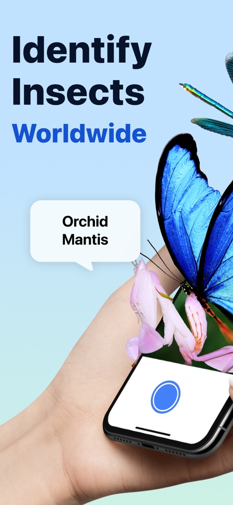 Picture Insect: Bug Identifier - The app allows users to quickly identify various insects by pointing their phone camera, displaying instant results like "Orchid Mantis" right on the screen.