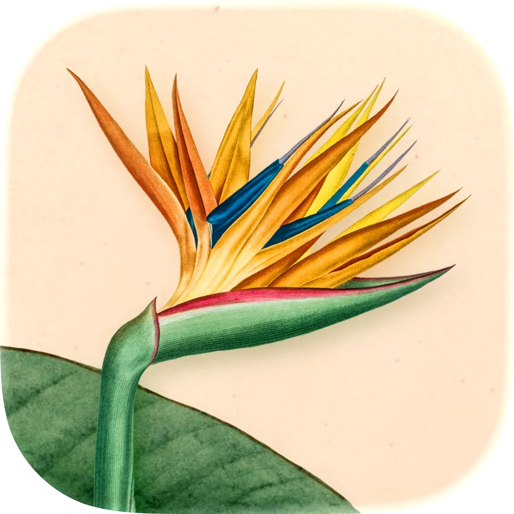 Art of Flora: Cozy Puzzles