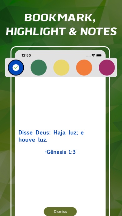 Portuguese Bible - offline Screenshot